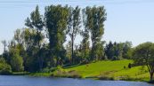 Die Peene