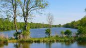 Die Peene