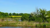 Die Peene
