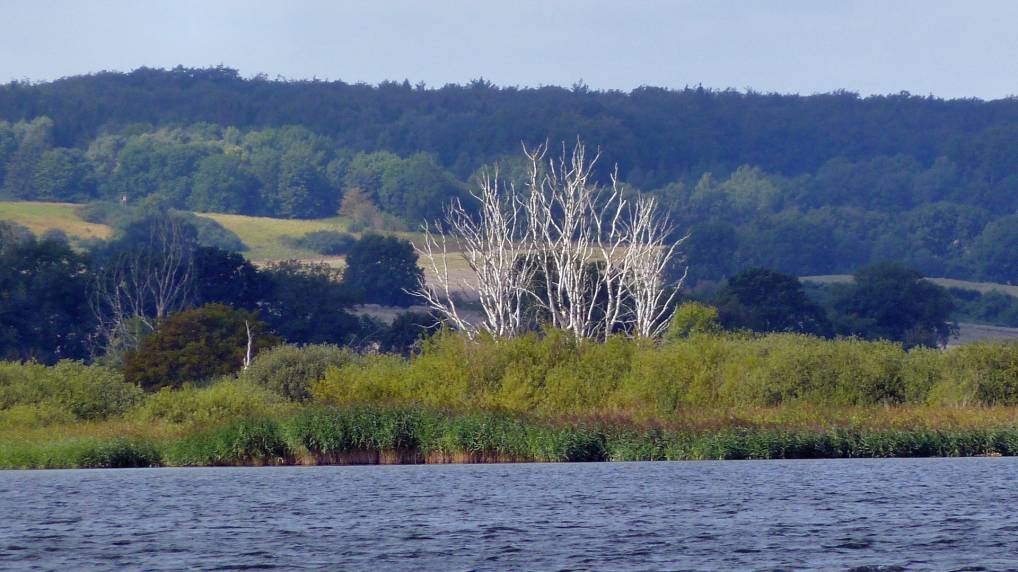 Rund um den Kummerower See