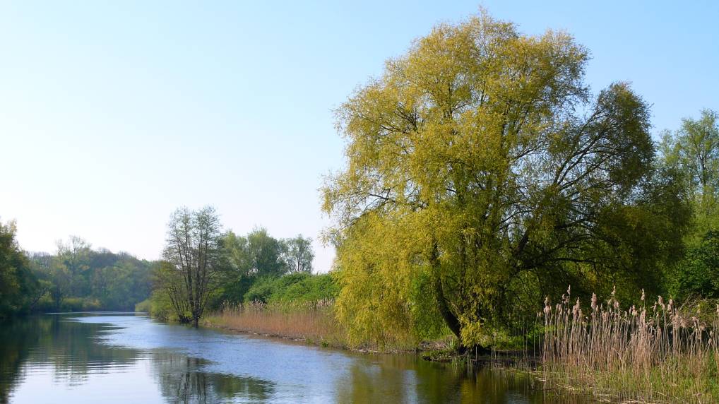 Peene und Kummerower See