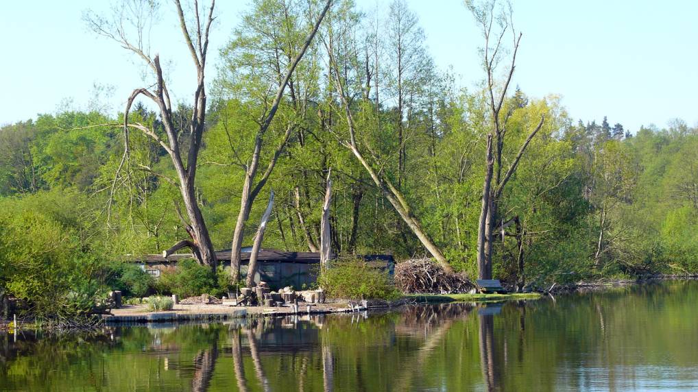 Peene und Kummerower See