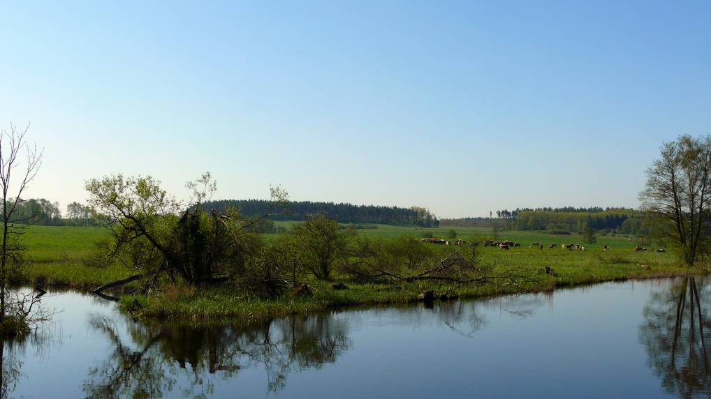 Peene und Kummerower See