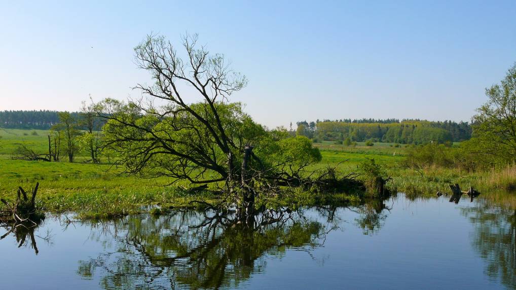 Peene und Kummerower See