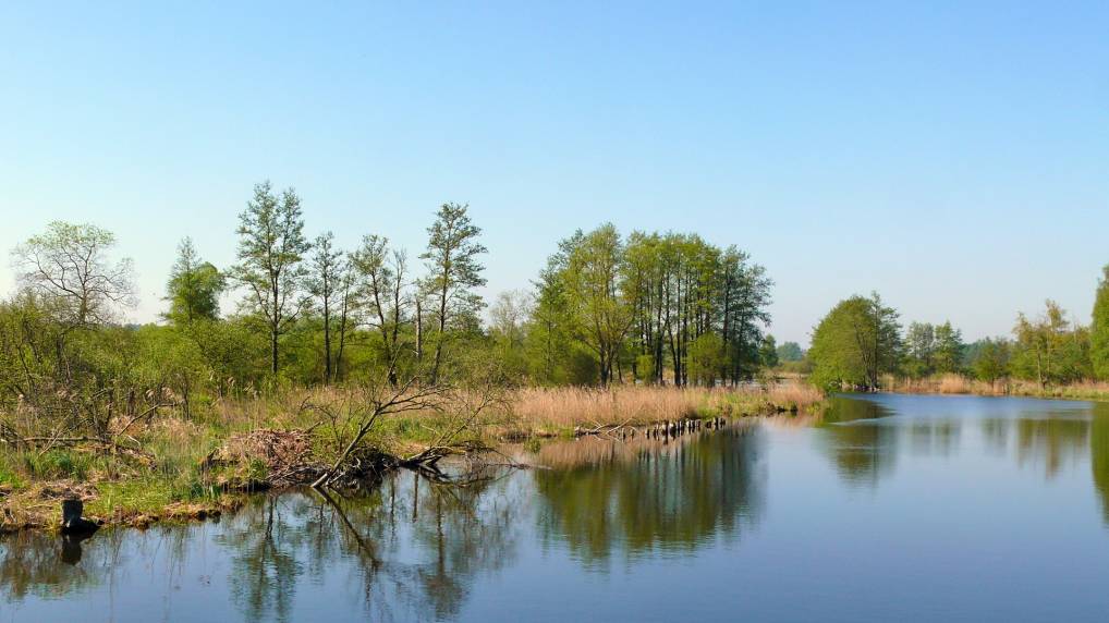 Peene und Kummerower See