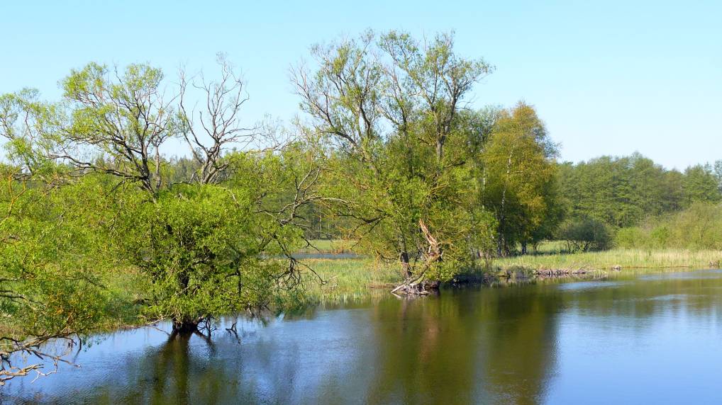 Peene und Kummerower See