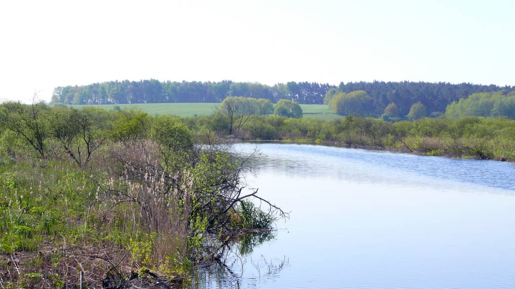 Peene und Kummerower See