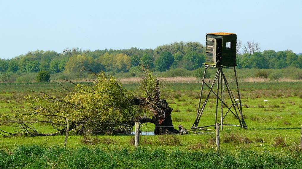 Peene und Kummerower See