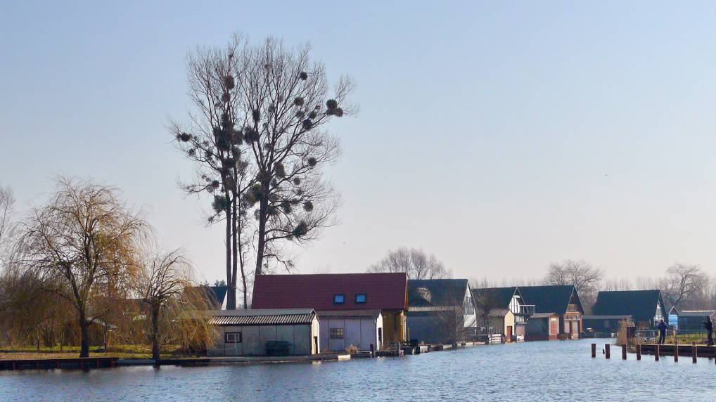 Neukalen