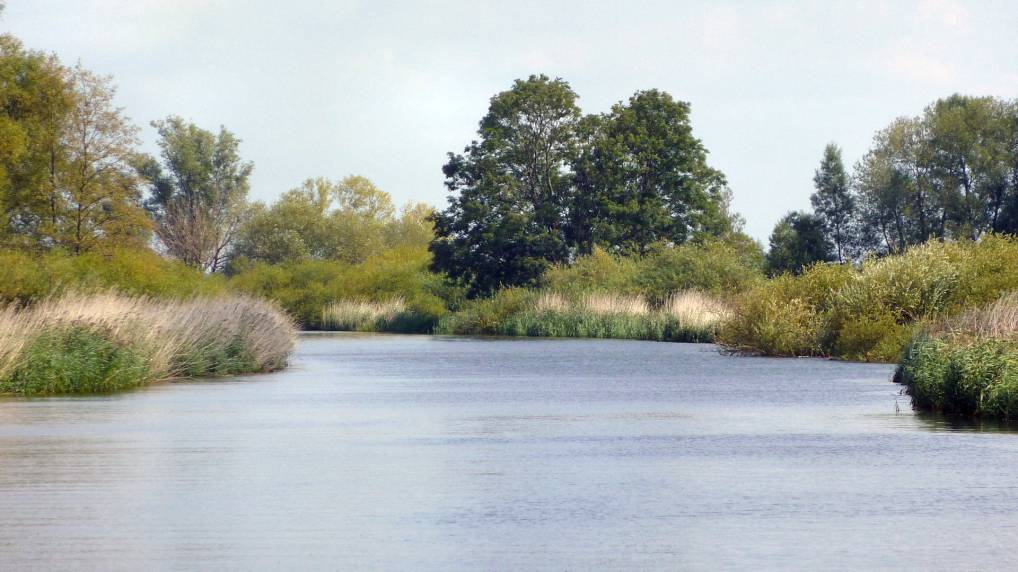 Auf der Peene