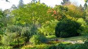 Botanischen Garten der Universitt Rostock