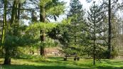 Botanischen Garten der Universitt Rostock