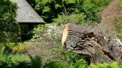 Botanischen Garten der Universitt Rostock