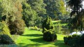 Botanischen Garten der Universitt Rostock