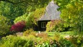 Botanischen Garten der Universitt Rostock