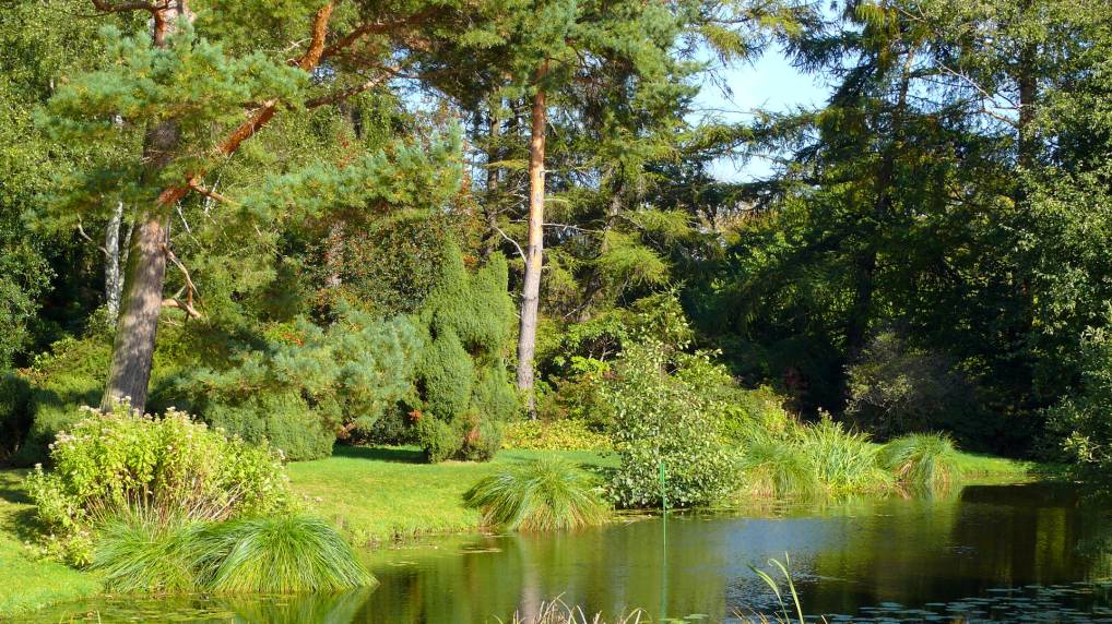 Botanischen Garten der Universitt Rostock