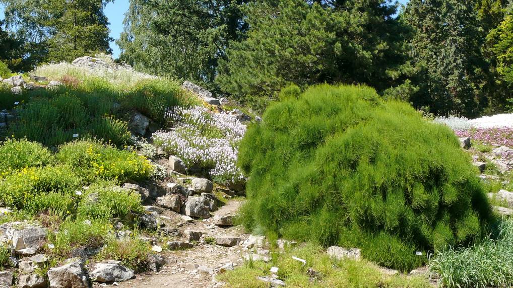 Botanischen Garten der Universitt Rostock