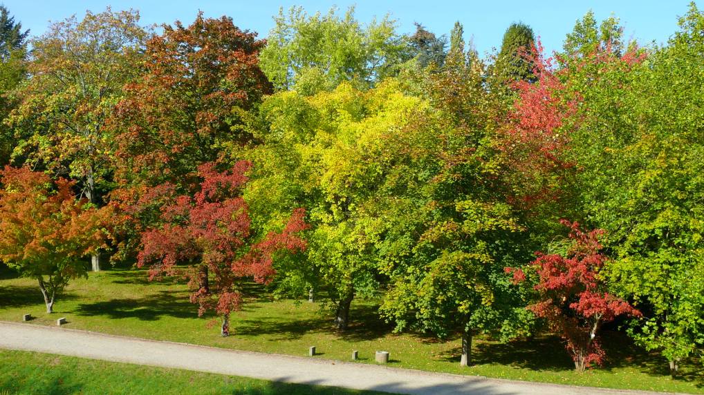 Botanischen Garten der Universitt Rostock