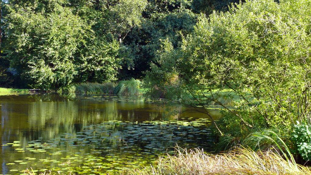 Botanischen Garten der Universitt Rostock