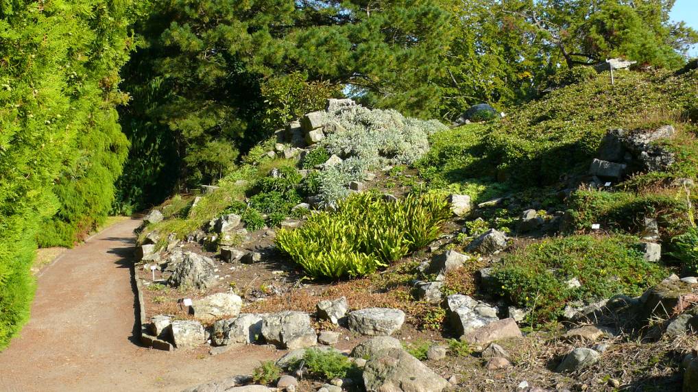 Botanischen Garten der Universitt Rostock