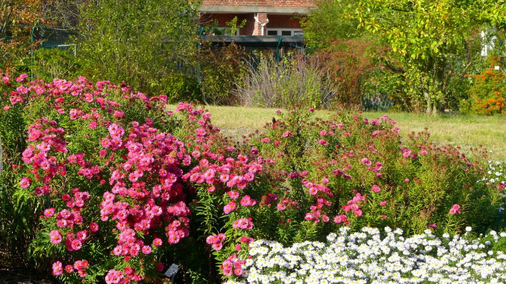 Botanischen Garten der Universitt Rostock