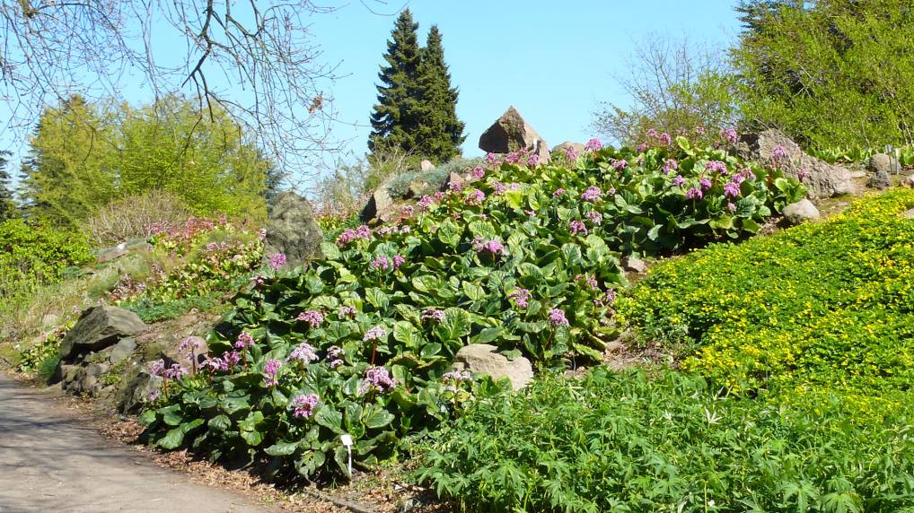 Botanischen Garten der Universitt Rostock