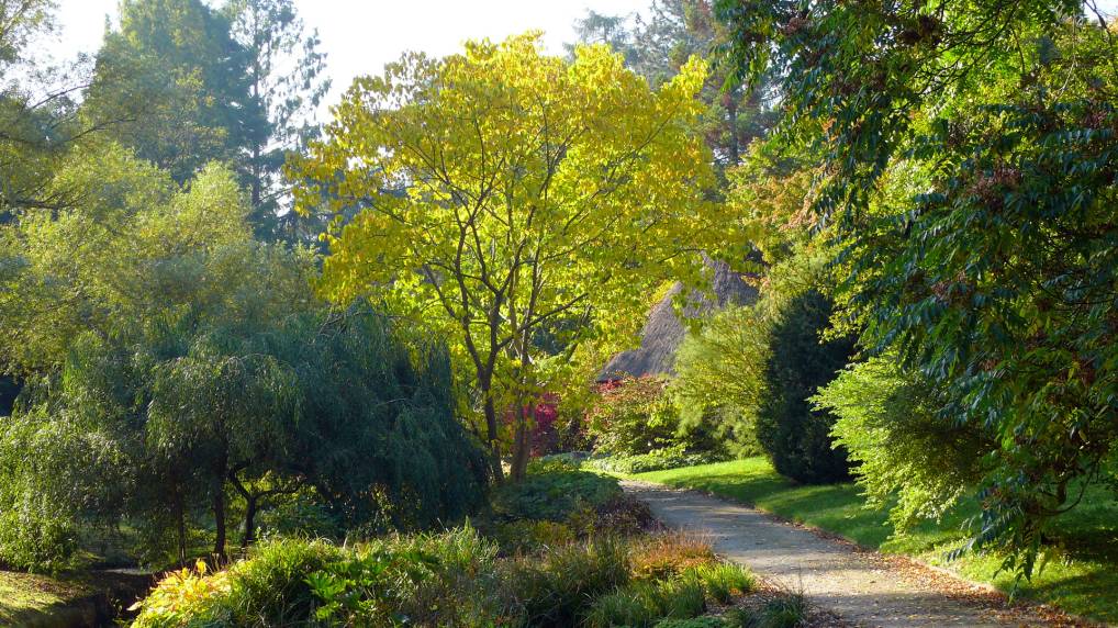 Botanischen Garten der Universitt Rostock