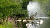 Park im Rostocker Zoo.
