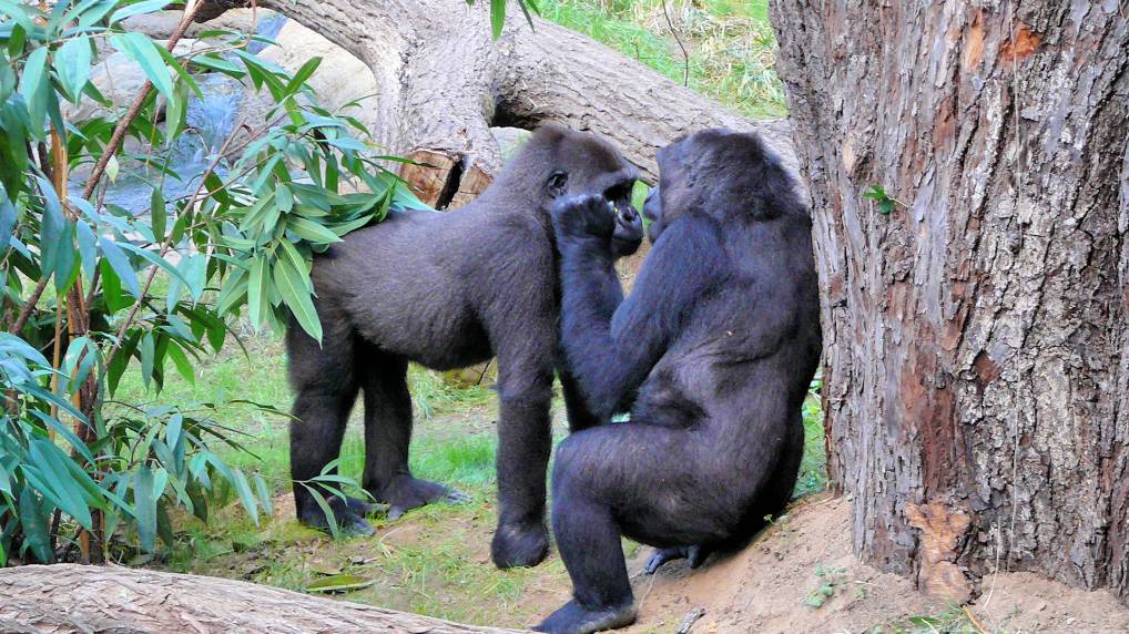 Das Darwineum im Rostocker Zoo