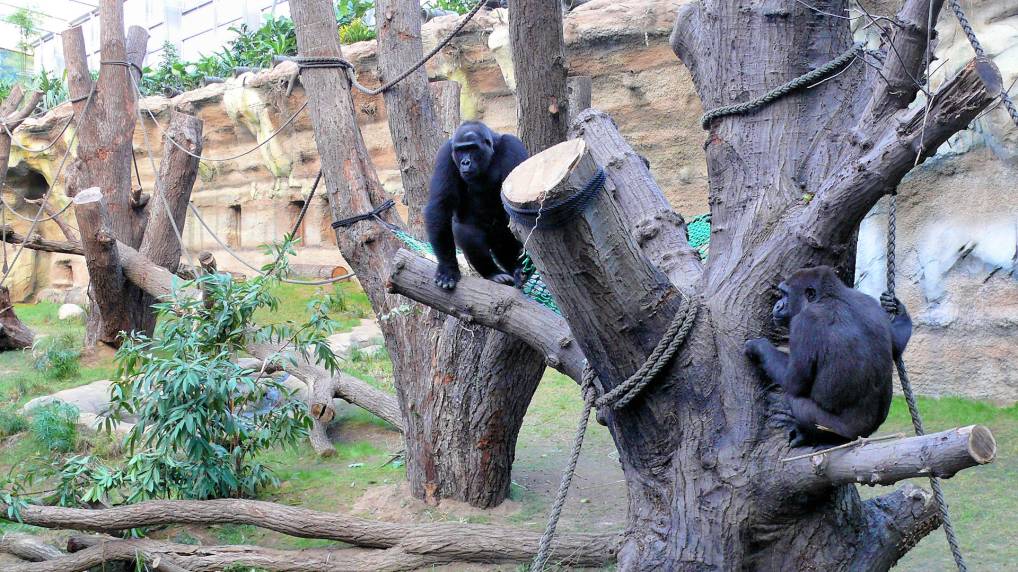 Das Darwineum im Rostocker Zoo